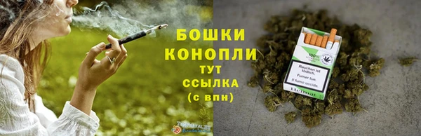 тгк Новодвинск