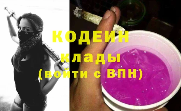 индика Новокубанск
