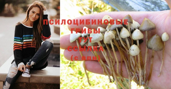 COCAINE Абаза