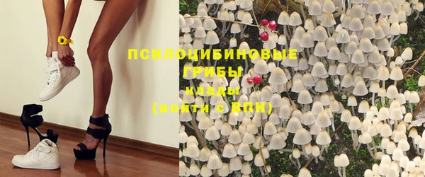 мдма Новозыбков