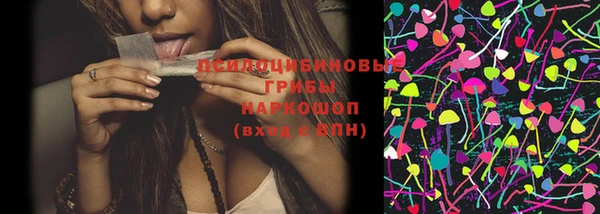 индика Новокубанск