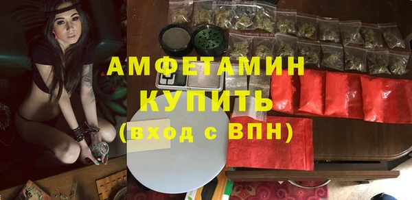индика Новокубанск