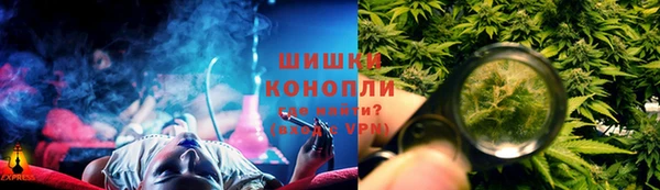 индика Новокубанск