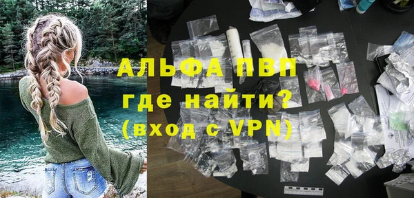 индика Новокубанск
