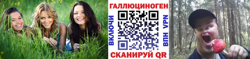 Псилоцибиновые грибы прущие грибы  купить закладку  Урус-Мартан 
