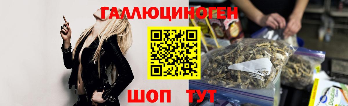 Псилоцибиновые грибы мицелий  Вход с VPN  Псилоцибиновые грибы Psilocybine cubensis  Урус-Мартан 